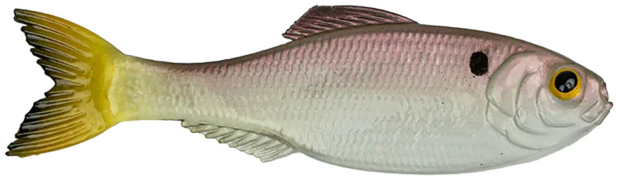 Ghost Pro Shad