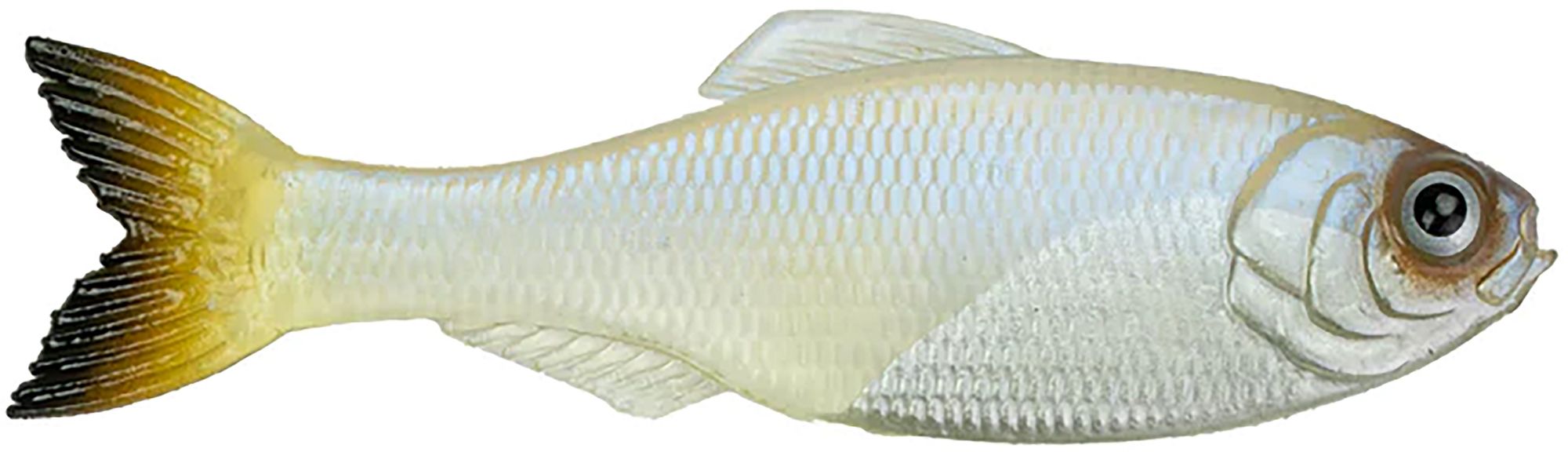 6th Sense Panorama Soft Bait