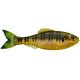 Sunfish