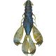 Magic Craw