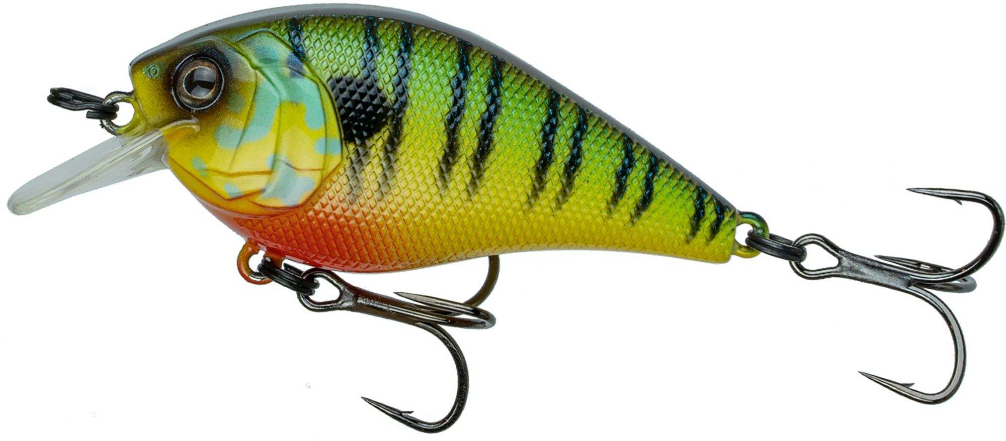 Mud Gill