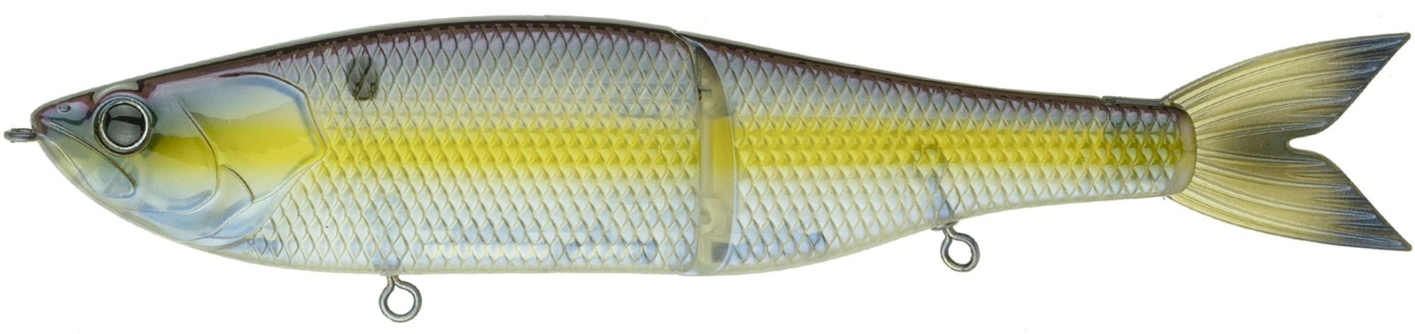 Shad Sense