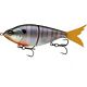 Bluegill Spawn