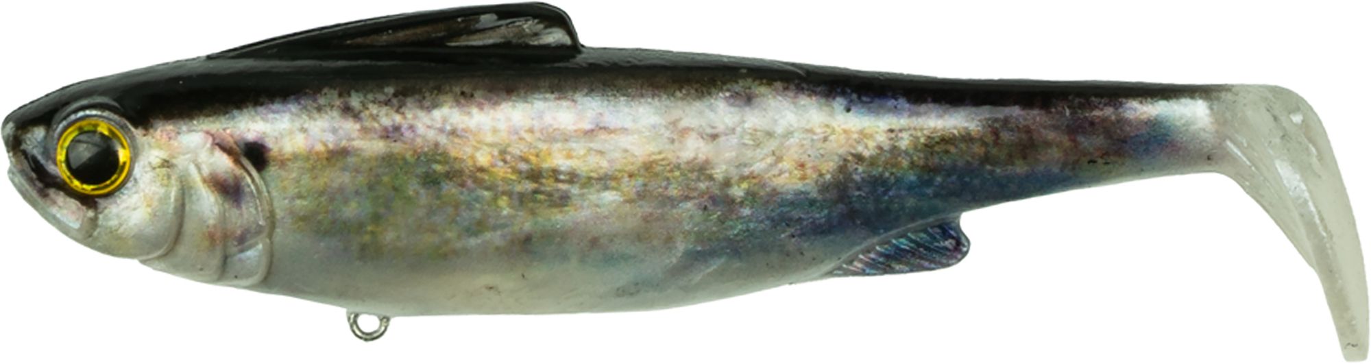 Live Shad