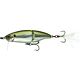 Shad Hammer