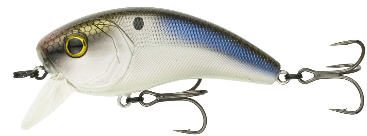 4K Shad