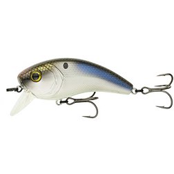 Dick's Sporting Goods 6th Sense The Draw Glide Bait
