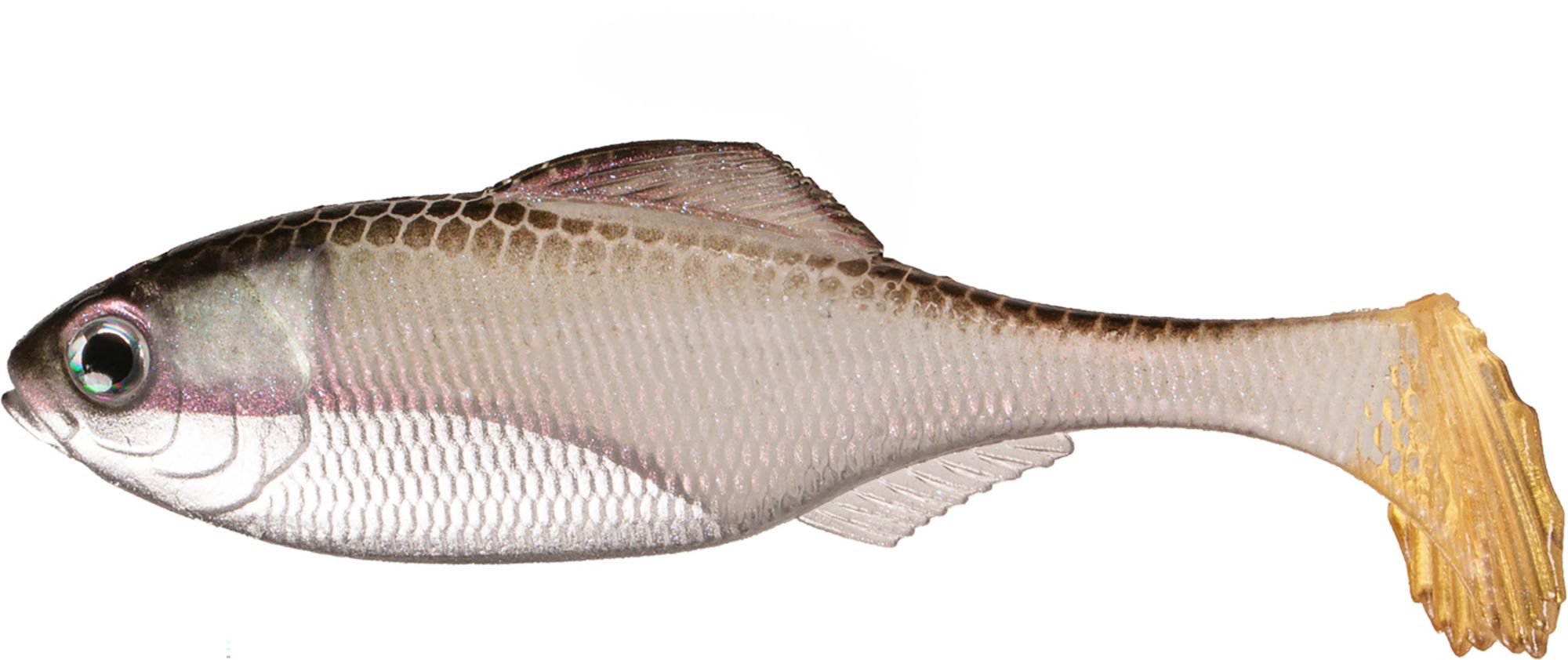 6th Sense Panorama Swimbait, Ghost Pro Shiner