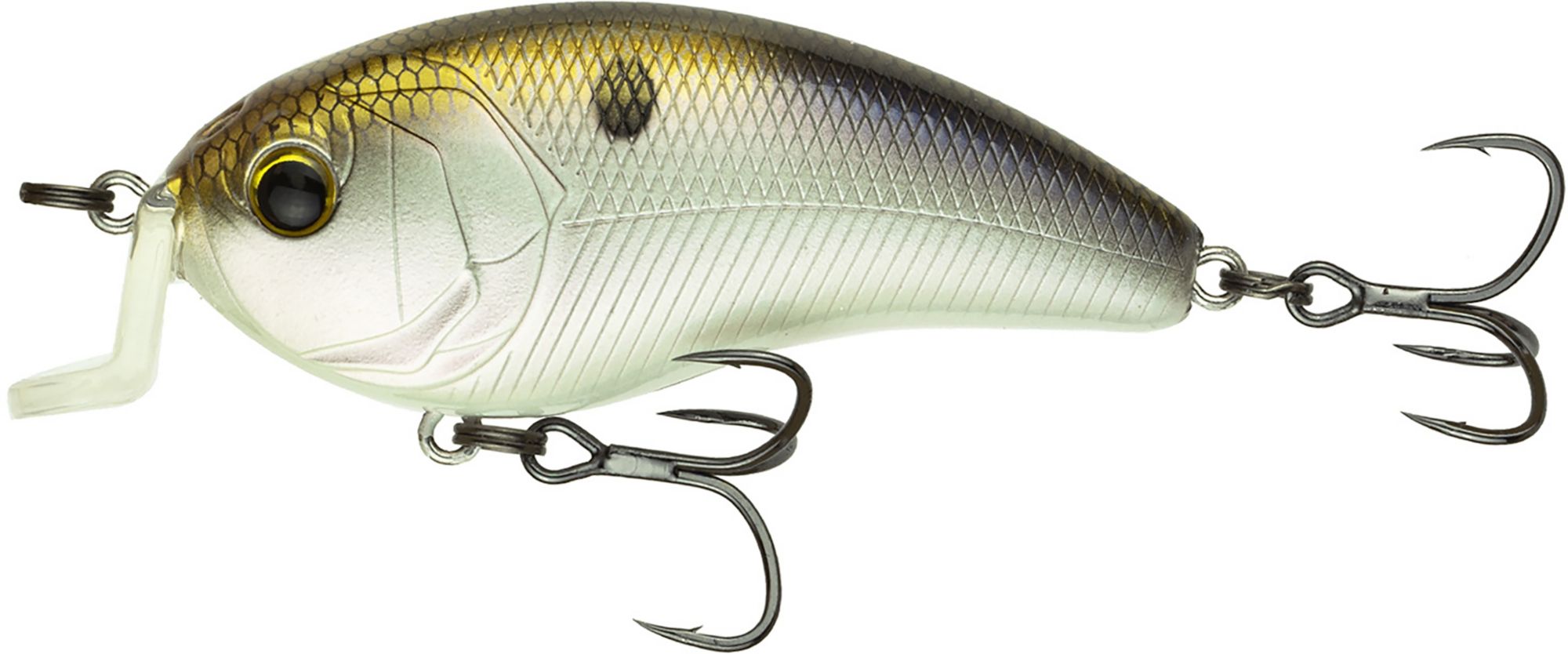 4K Bluegill