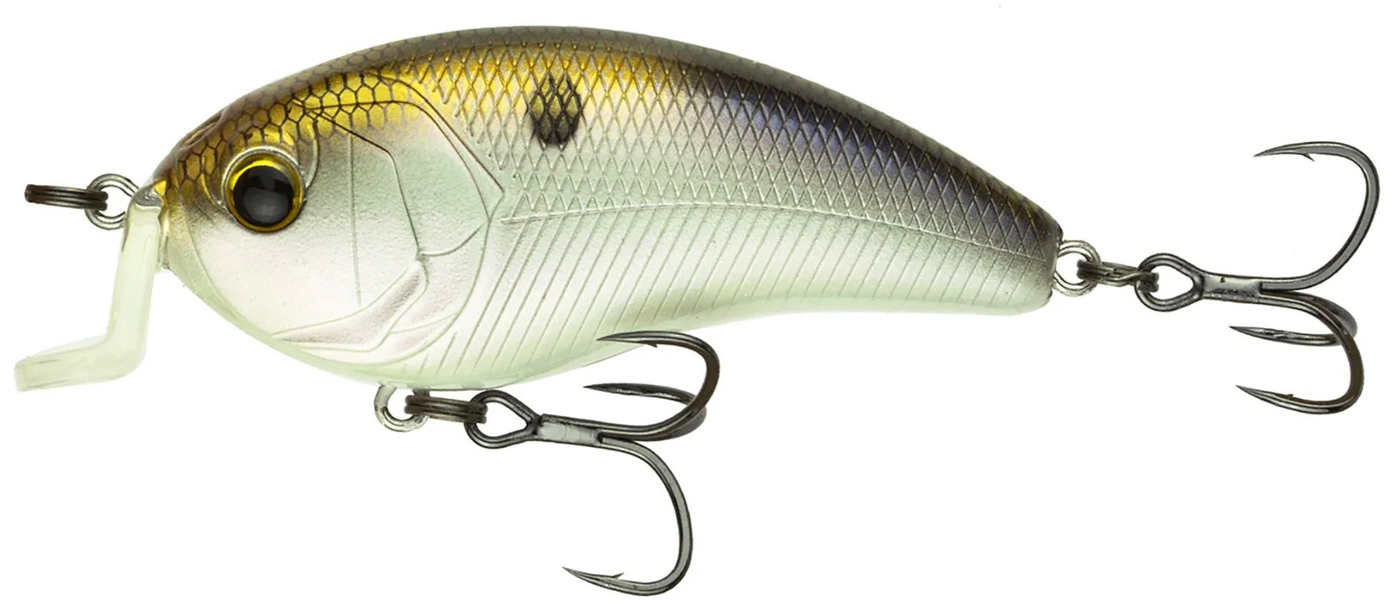 4K Shad