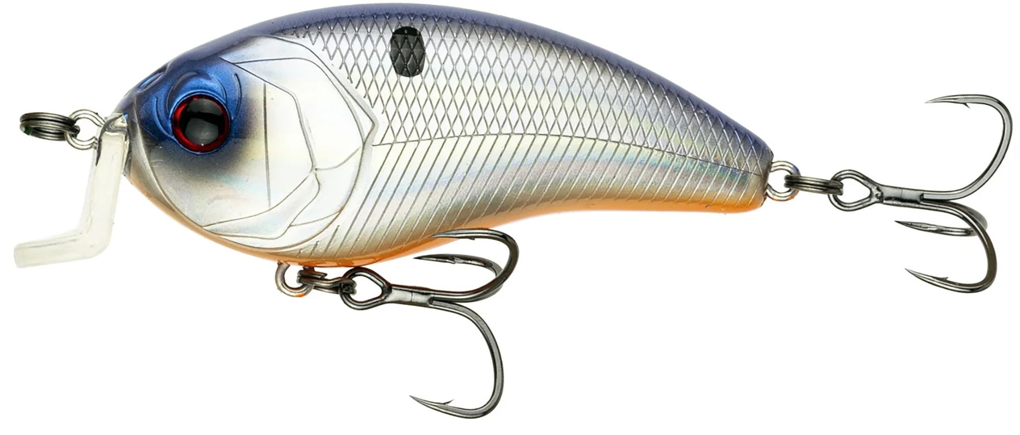 Shad Surge