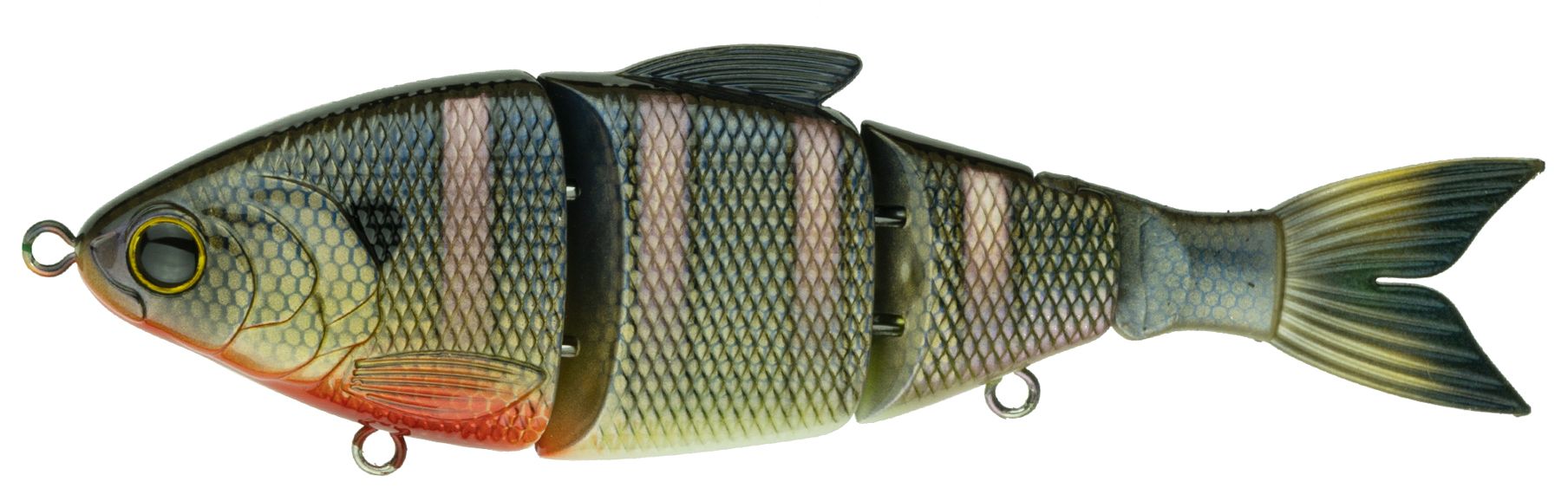 Bluegill Spawn