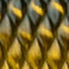 Gold Reactor