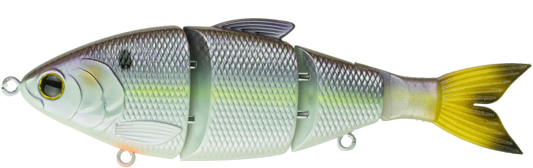 Wild Shad