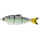 Wild Shad