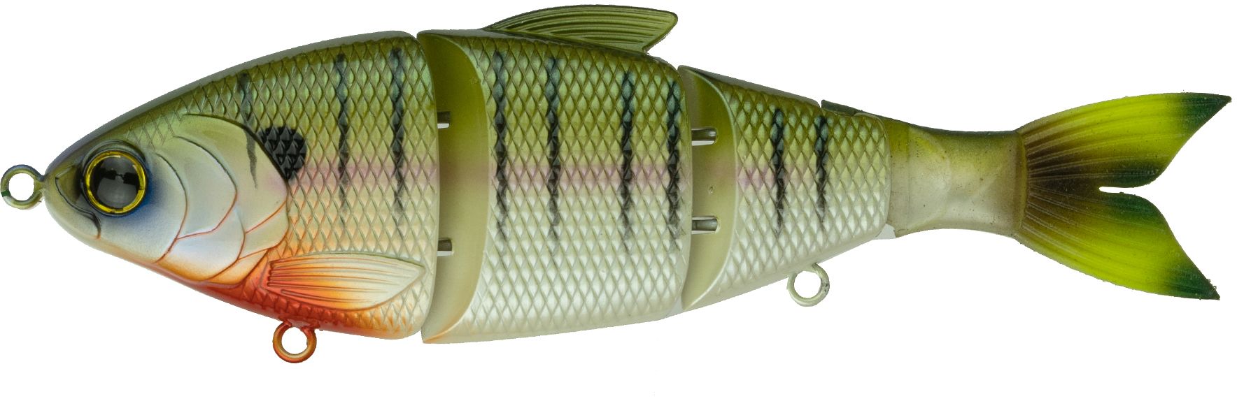 4K Bluegill
