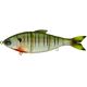4K Bluegill