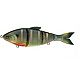 Bluegill Spawn