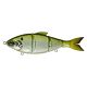 Shad Hammer