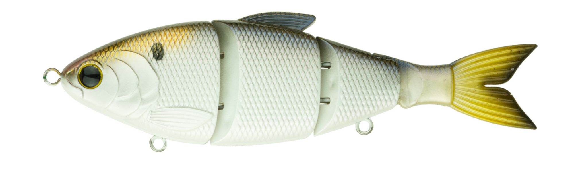 4K Shad