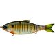Cajun Gilll