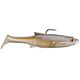 Black Shad
