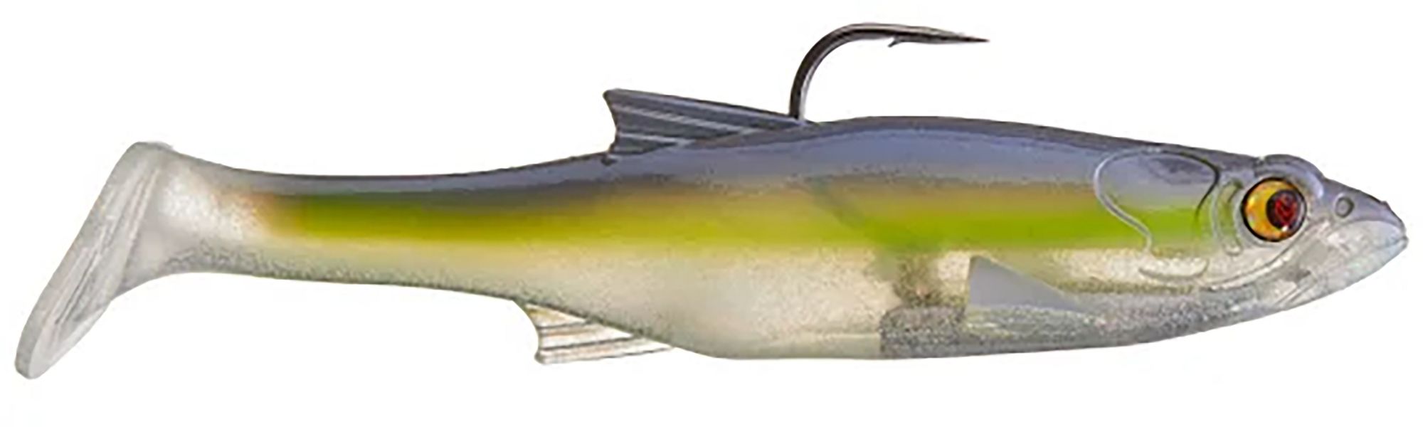 Blue Back Herring