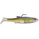 Blue Back Herring