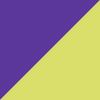 Purple/White