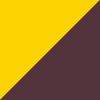 Arizona St