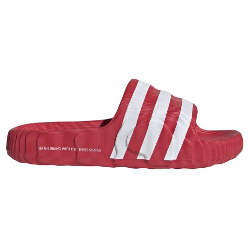 ◆THE NORTH FACE◆ Basic SlideCREAM The North Face Basecamp Women's Slides White NF4T2SLA9