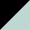 Black/Aqua