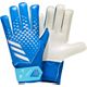 Blue/White