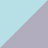 Mint/Silver