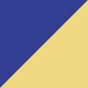 Blue/Yellow