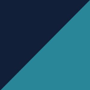 Nautical Navy