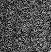 Black Heather