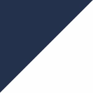 Navy/White