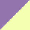 Yellow/Purple