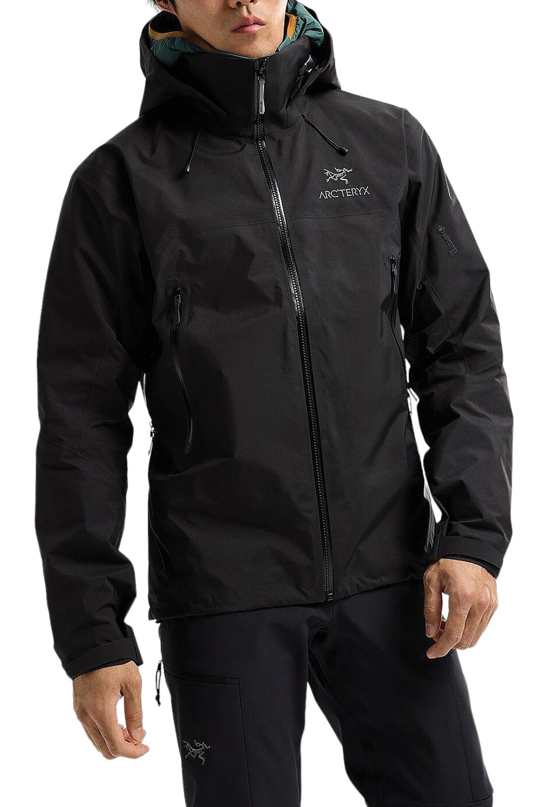 Arc'teryx Men's Beta AR Jacket