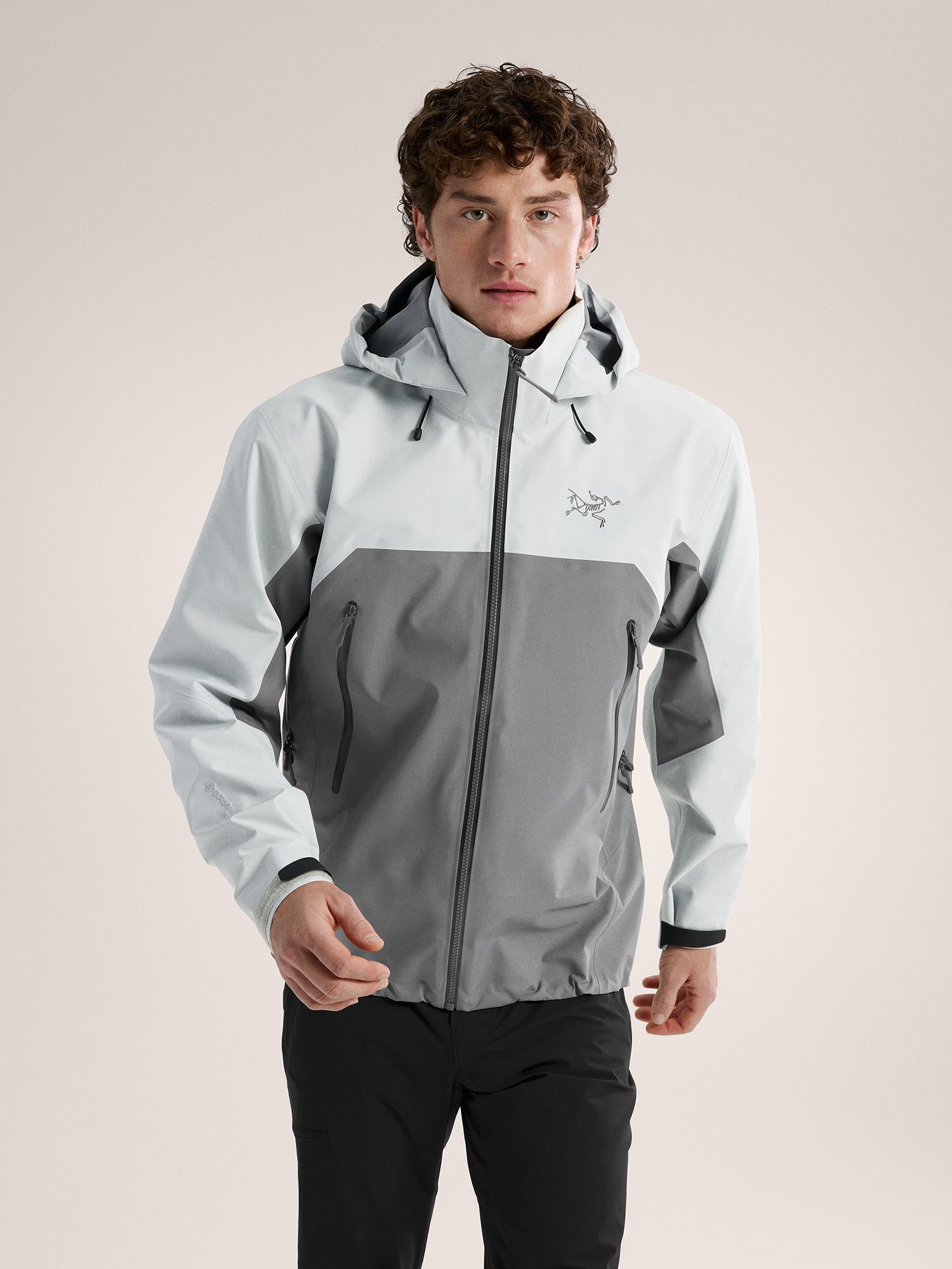 Arc'teryx Men's Beta AR Jacket