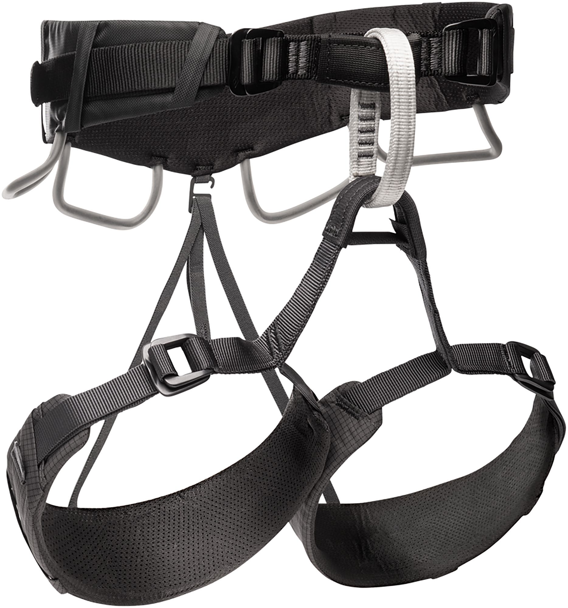 Harnesses & Accessories