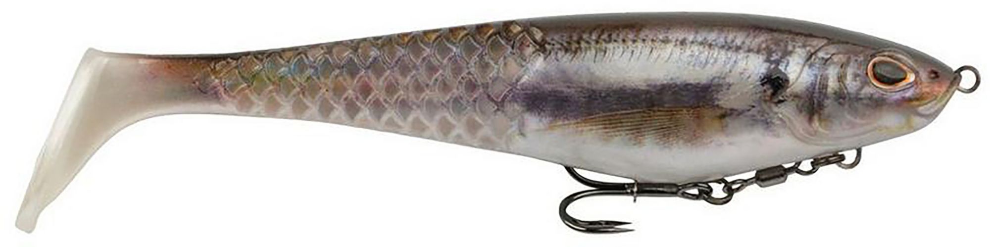 HD Gizzard Shad