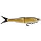 Golden Shiner