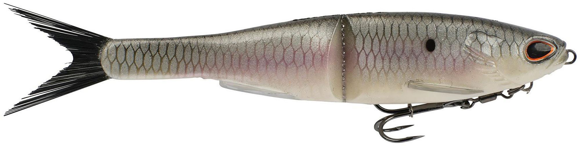 Hickory Shad