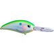 Citrus Shad