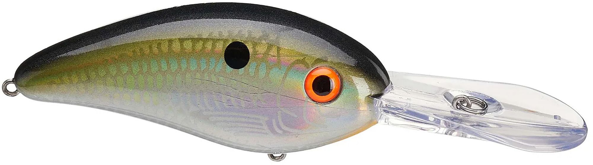 Tennessee Shad