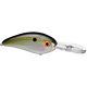 Tennessee Shad