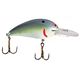 Tennessee Shad