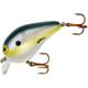 Foxy Shad